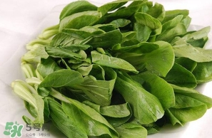 雞毛菜怎么做？雞毛菜的做法