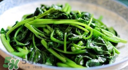 苕尖是發(fā)物嗎？苕尖是不是發(fā)物