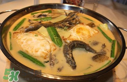 泥鰍是魚嗎？泥鰍是海鮮嗎