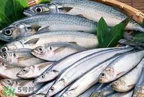 2017鲅魚(yú)多少錢一斤？鲅魚(yú)多少錢一斤2017？
