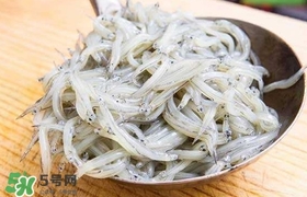 銀魚是面條魚嗎？面條魚和銀魚的區(qū)別