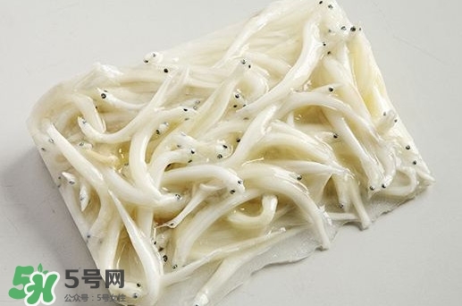 面條魚是什么魚？面條魚是海水魚嗎