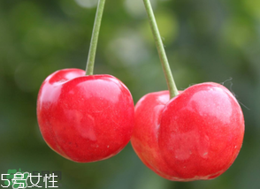 櫻桃籽有毒嗎？櫻桃籽能吃嗎？