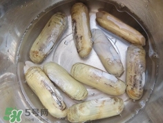 怎么樣讓蟶子吐沙？如何讓蟶子吐沙