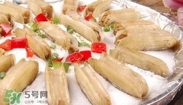 蟶子死了是什么樣子？死蟶子是什么樣子