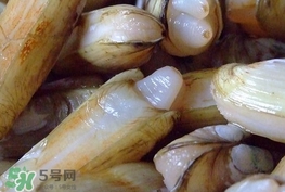 蟶子是海鮮嗎？蟶子是海鮮還是河鮮