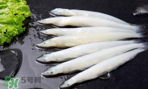 面條魚有刺嗎？面條魚有鱗嗎