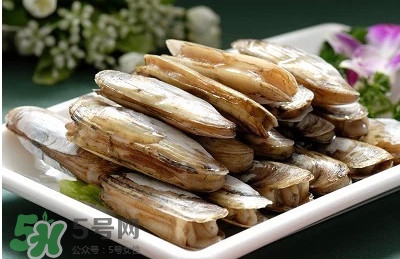 蟶子是海鮮嗎？蟶子是海鮮還是河鮮