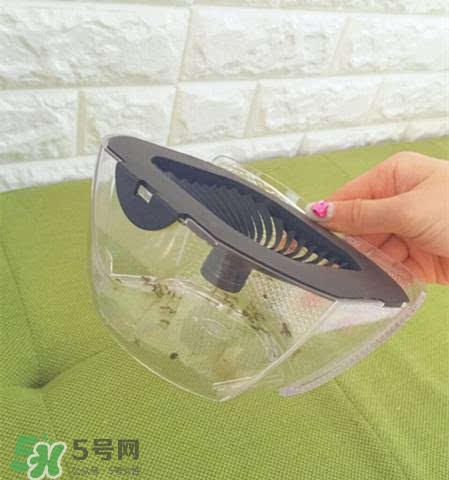 inadays滅蚊燈有用嗎？inadays滅蚊燈有效果嗎？