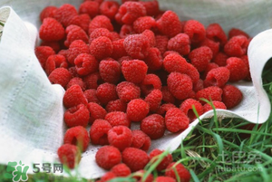刺泡怎么保存？刺泡保存方法