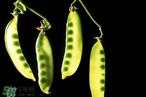 嫩豌豆能生吃嗎？為什么嫩豌豆可以生吃？