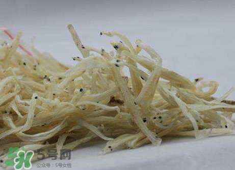 面條魚有什么營養(yǎng)？面條魚營養(yǎng)價(jià)值