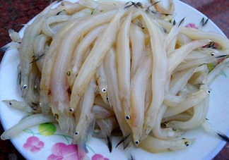 面條魚(yú)如何保存？面條魚(yú)怎么保存