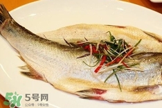 白條魚怎么做好吃？白條魚怎么吃好吃