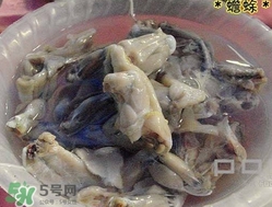 癩蛤蟆能吃嗎？癩蛤蟆可以吃嗎