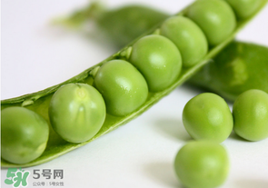 生豌豆有毒嗎？豌豆生吃有毒嗎？