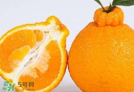 丑八怪水果多少錢一斤？不知火雜柑一斤多少錢