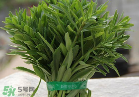 救心菜有毒嗎？救心菜怎么吃沒毒？