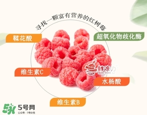 樹莓可以生吃嗎？樹莓怎么吃？
