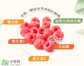 樹(shù)莓怎么保存？樹(shù)莓保存方法
