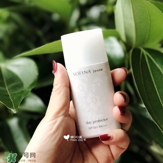蘇菲娜白蕾絲多少錢？蘇菲娜白蕾絲日本價(jià)格