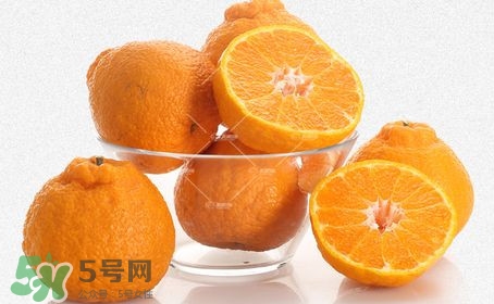 丑八怪水果多少錢一斤？不知火雜柑一斤多少錢