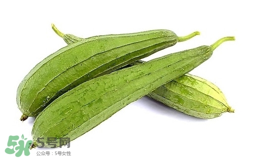 孕婦能吃絲瓜嗎？孕婦能不能吃絲瓜