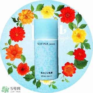 蘇菲娜藍(lán)蕾絲和藍(lán)小花哪個(gè)好？蘇菲娜藍(lán)蕾絲和藍(lán)小花對(duì)比