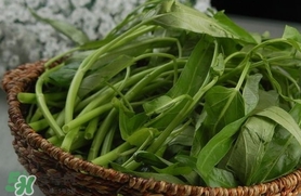 夏天種什么蔬菜？夏天適合種什么蔬菜