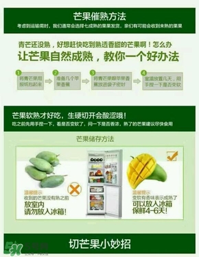 貴妃芒果硬的能吃嗎？貴妃芒果青的能吃嗎