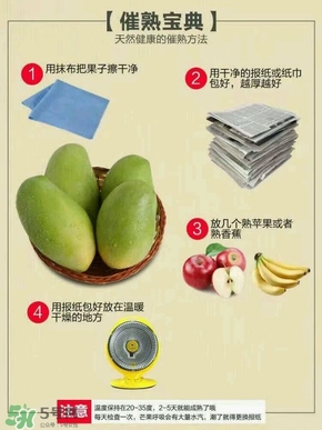 貴妃芒果硬的能吃嗎？貴妃芒果青的能吃嗎