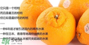 丑八怪水果多少錢一斤？不知火雜柑一斤多少錢