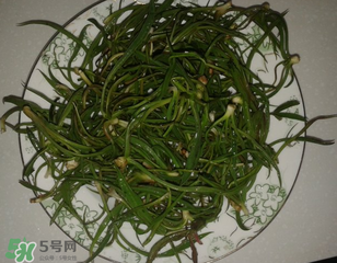 陽溝菜孕婦可以吃嗎？孕婦能吃陽溝菜嗎？