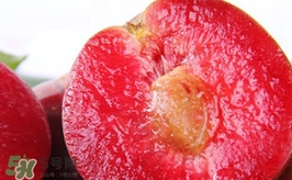 三華李是哪里的特產(chǎn)？三華李的產(chǎn)地是哪兒