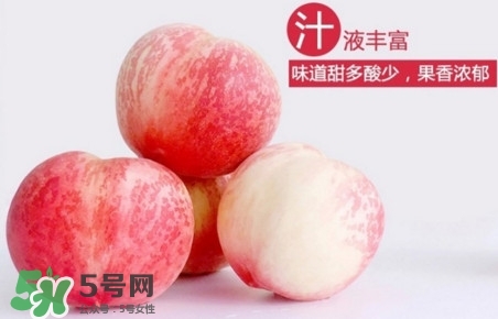 水蜜桃什么時(shí)候熟？水蜜桃成熟時(shí)間