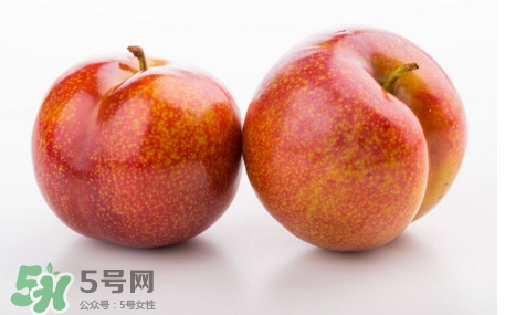 三華李什么時候有？三華李是幾月份上市