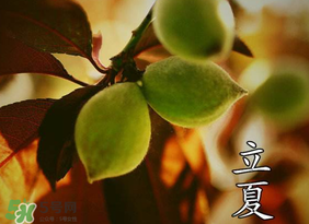 立夏吃什么水果？立夏吃什么水果好？