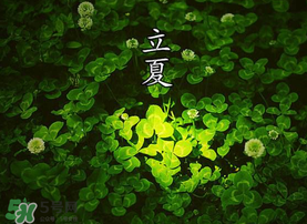 立夏吃什么水果？立夏吃什么水果好？