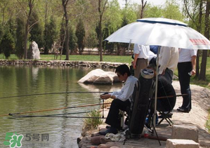 立夏好釣魚嗎？立夏怎么釣魚？