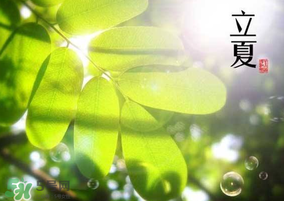 立夏和夏至有什么區(qū)別？立夏和夏至的區(qū)別