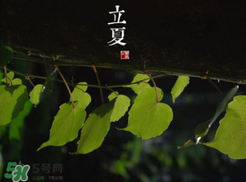 2017年立夏會下雨嗎？2017年立夏下雨好嗎？