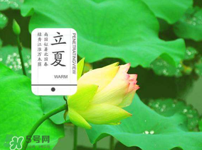 2017年立夏會下雨嗎？2017年立夏下雨好嗎？