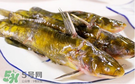 嘎魚怎么做最好吃？嘎魚的做法大全