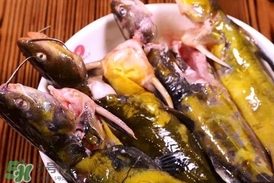 嘎魚孕婦能吃嗎？孕婦可以吃嘎魚嗎