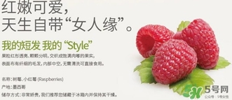 樹莓可以放冰箱嗎？樹莓可以保存幾天