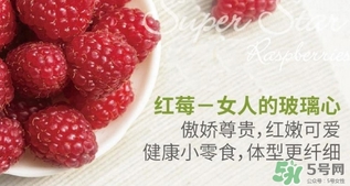 樹(shù)莓可以放冰箱嗎？樹(shù)莓可以保存幾天