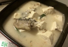 黑魚能和豆腐一起吃嗎？豆腐可以和黑魚一起吃嗎
