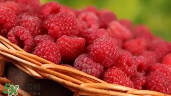 樹莓可以直接吃嗎？樹莓里的小籽能吃嗎？