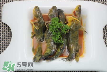 嘎魚不適合什么人吃？黃顙魚不適合什么人吃