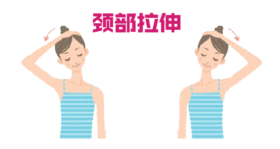 天鵝頸是什么樣的？天鵝頸怎么練？